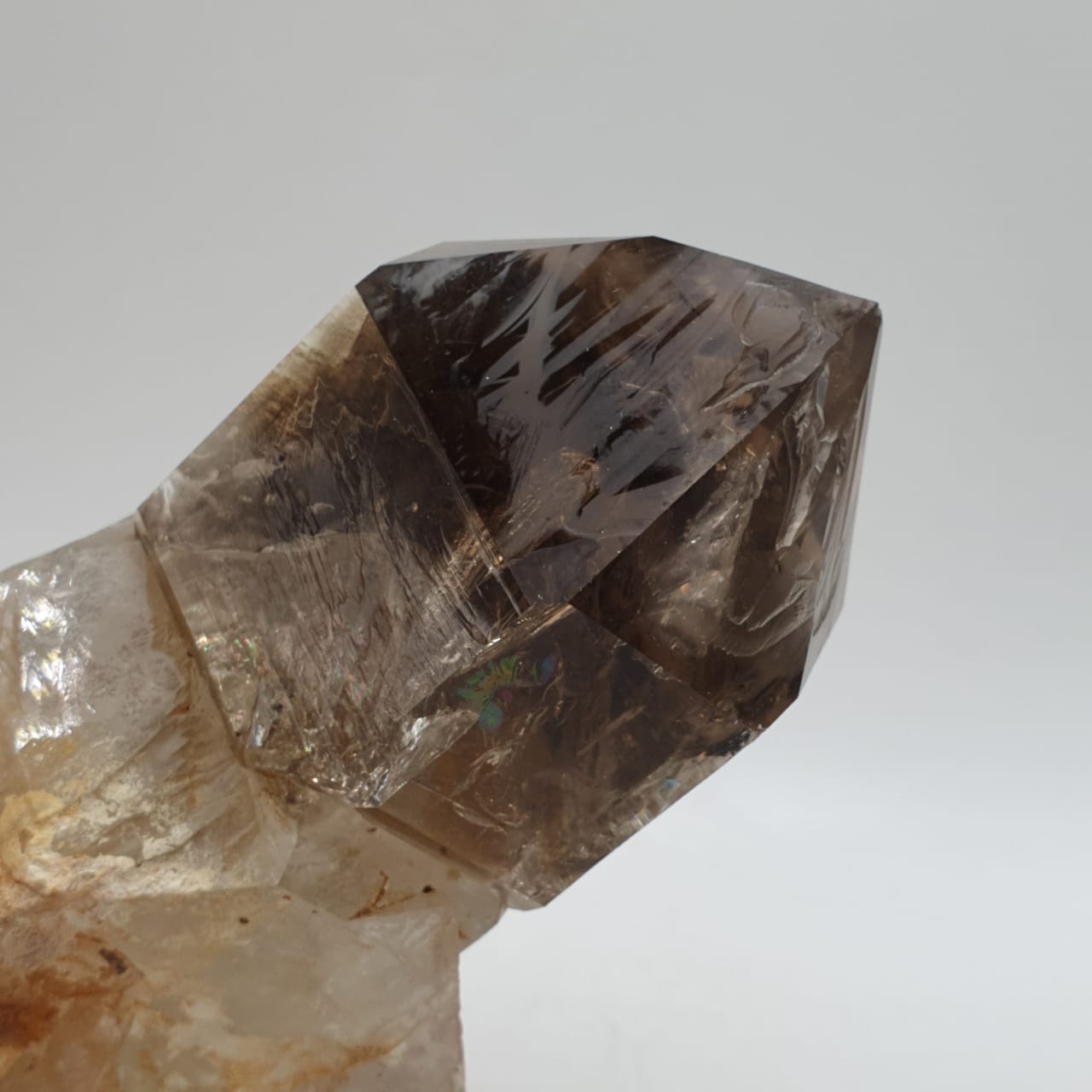 Gorgeous Scepter Smoky Quartz