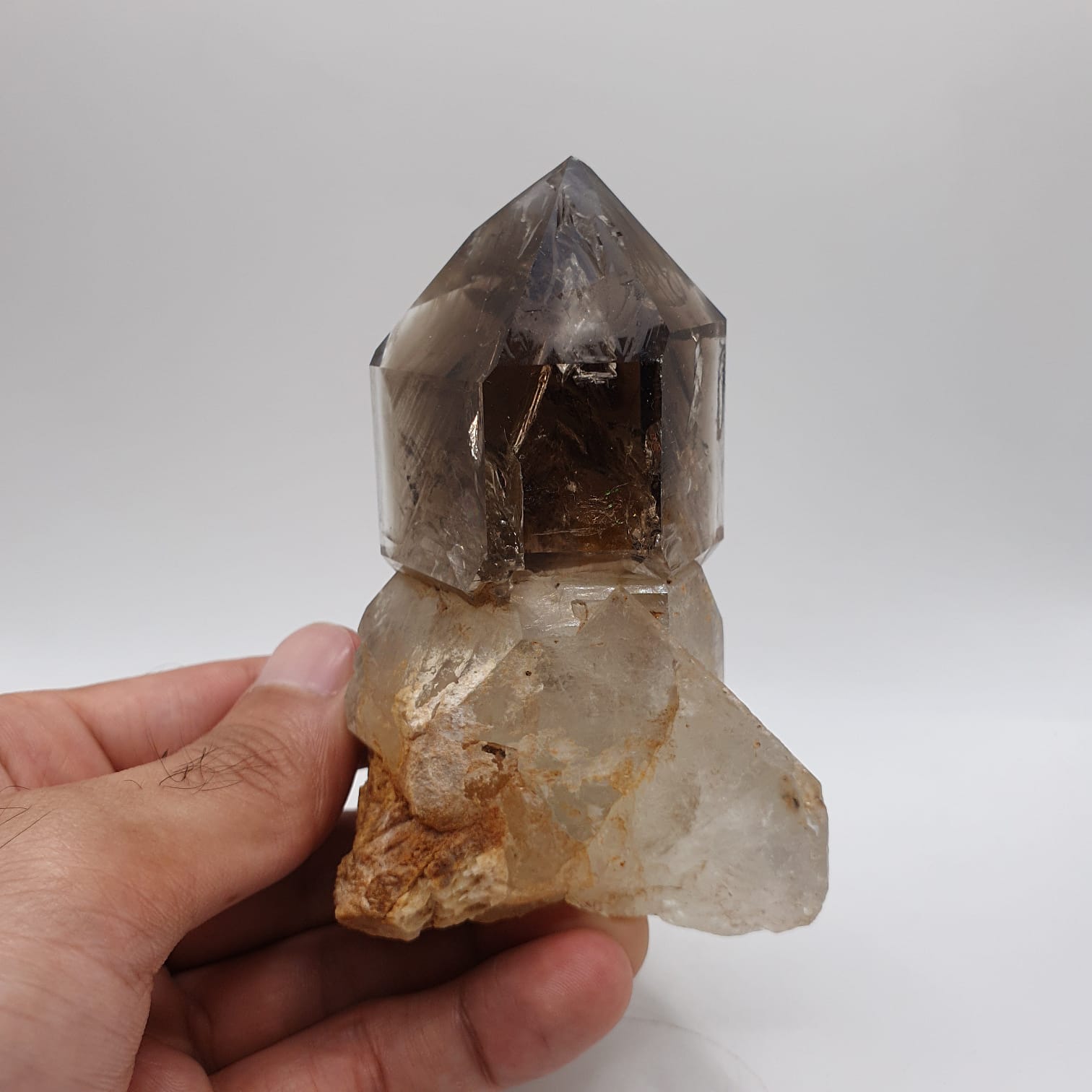 Gorgeous Scepter Smoky Quartz
