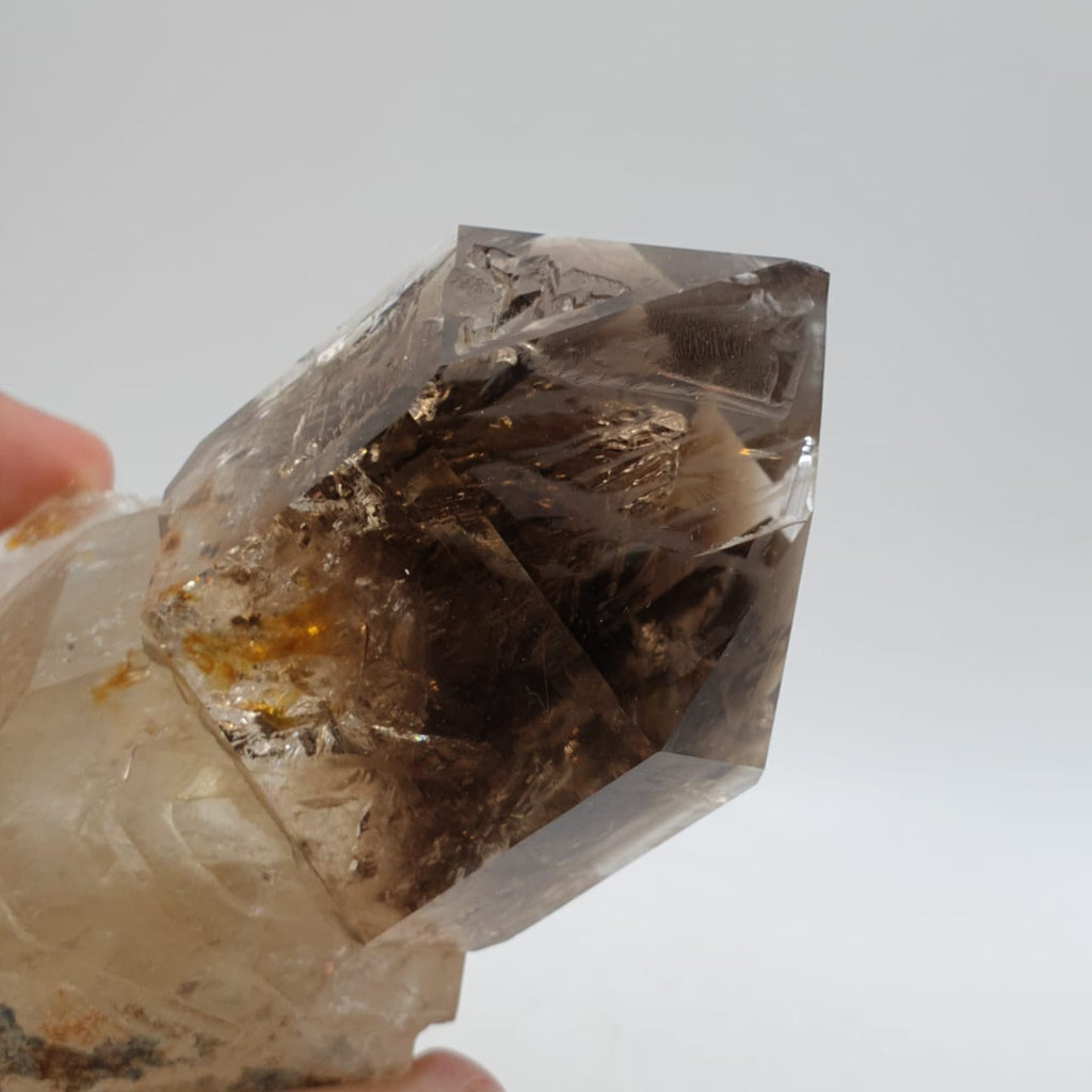 Gorgeous Scepter Smoky Quartz