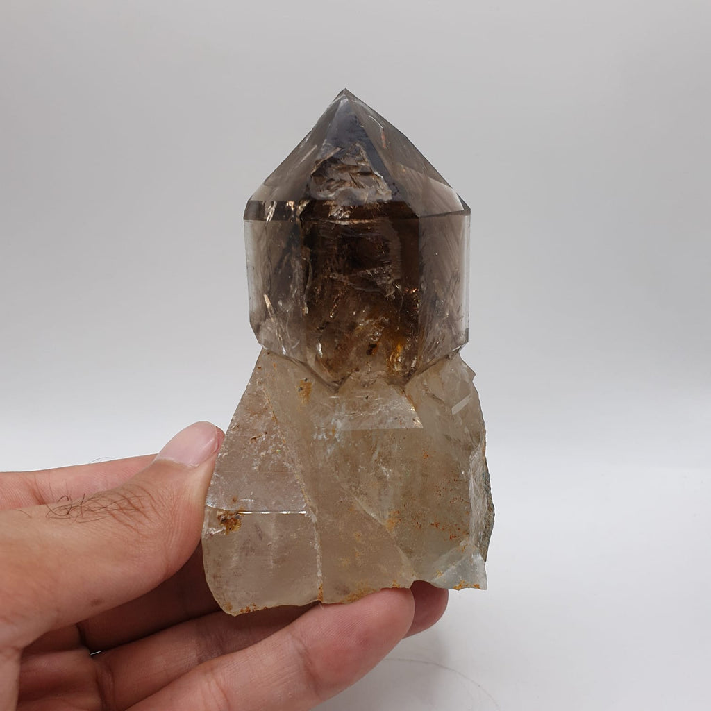 Gorgeous Scepter Smoky Quartz