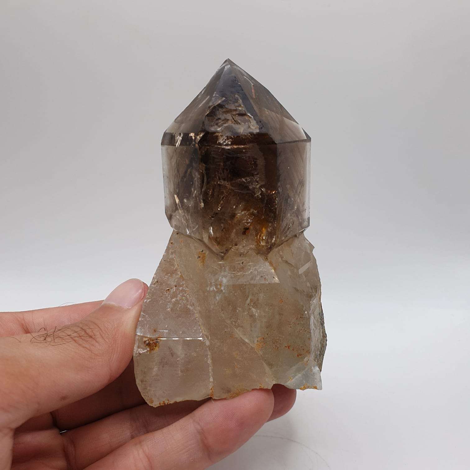 Gorgeous Scepter Smoky Quartz