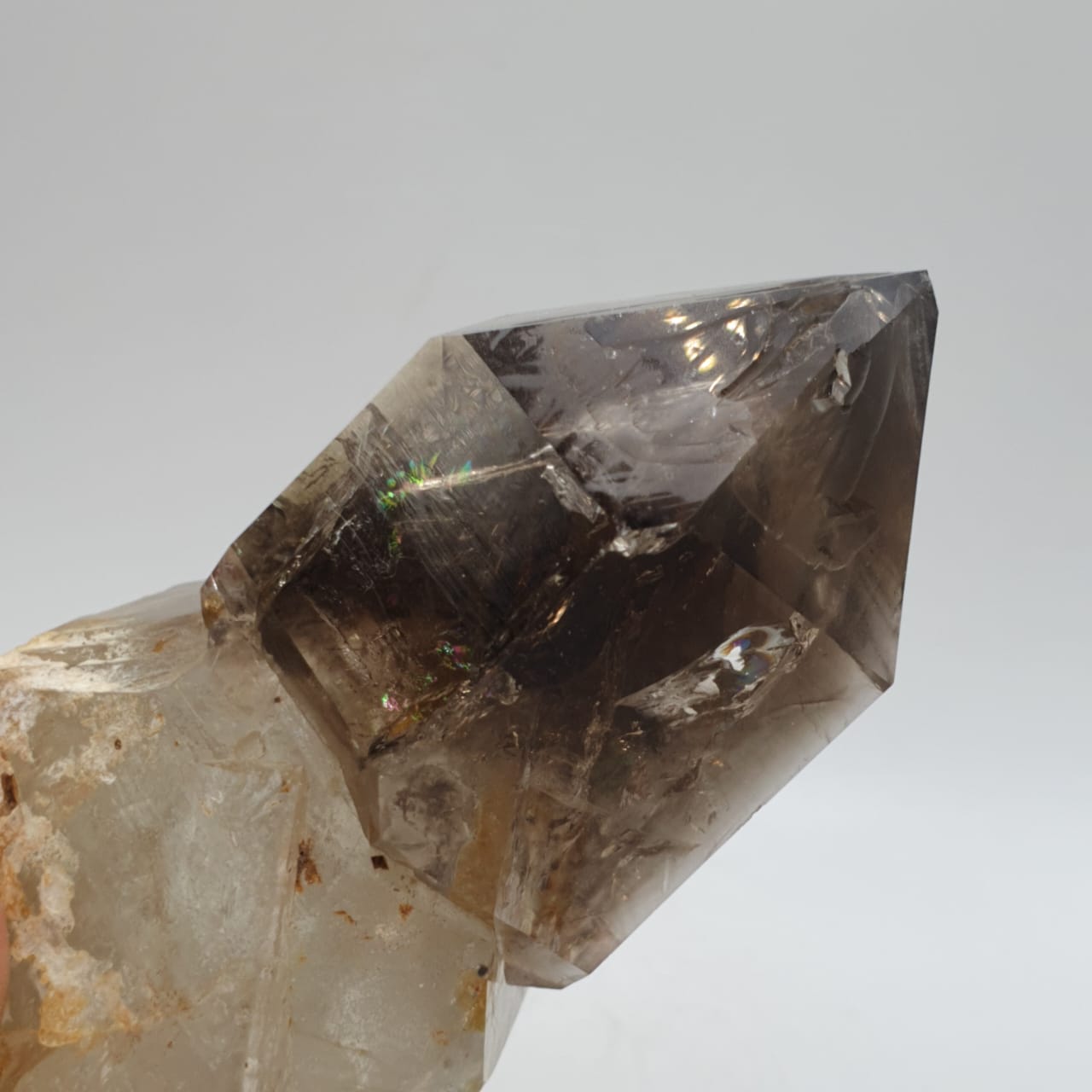 Gorgeous Scepter Smoky Quartz