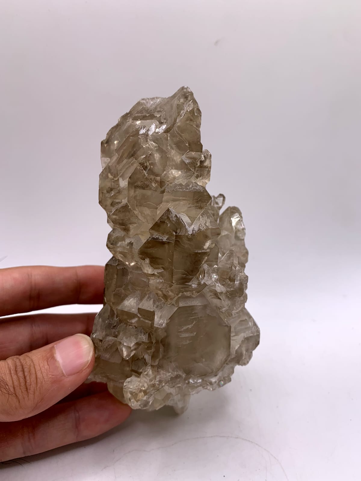 Gorgeous large Cabinet Smoky Scepter Quartz
