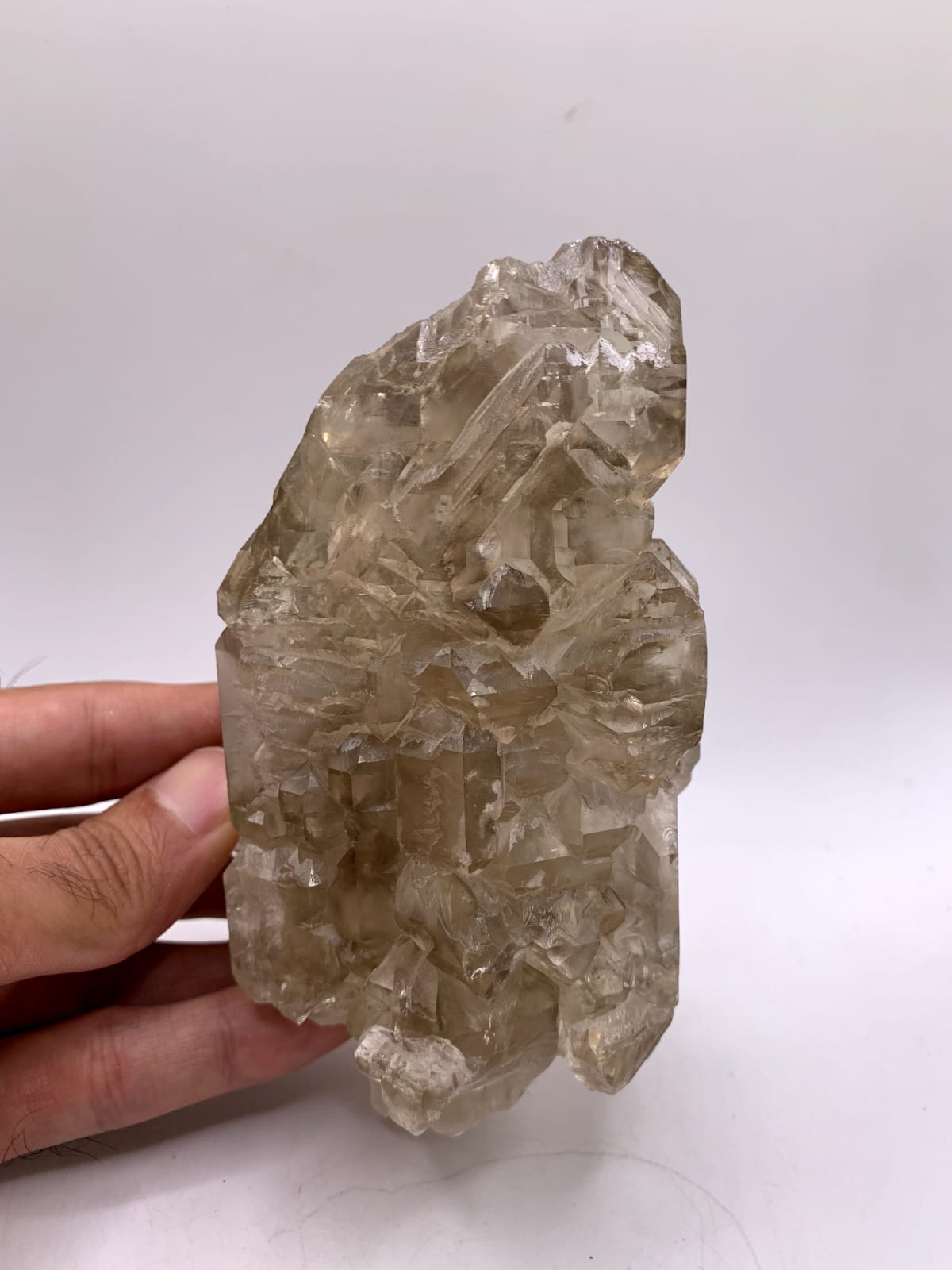 Gorgeous large Cabinet Smoky Scepter Quartz