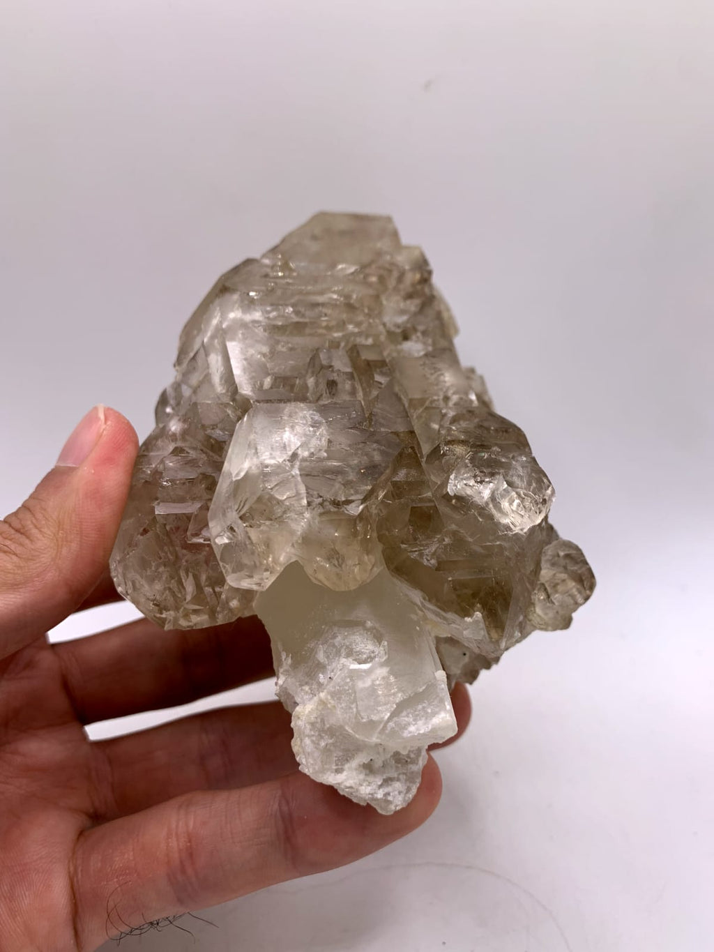 Gorgeous large Cabinet Smoky Scepter Quartz