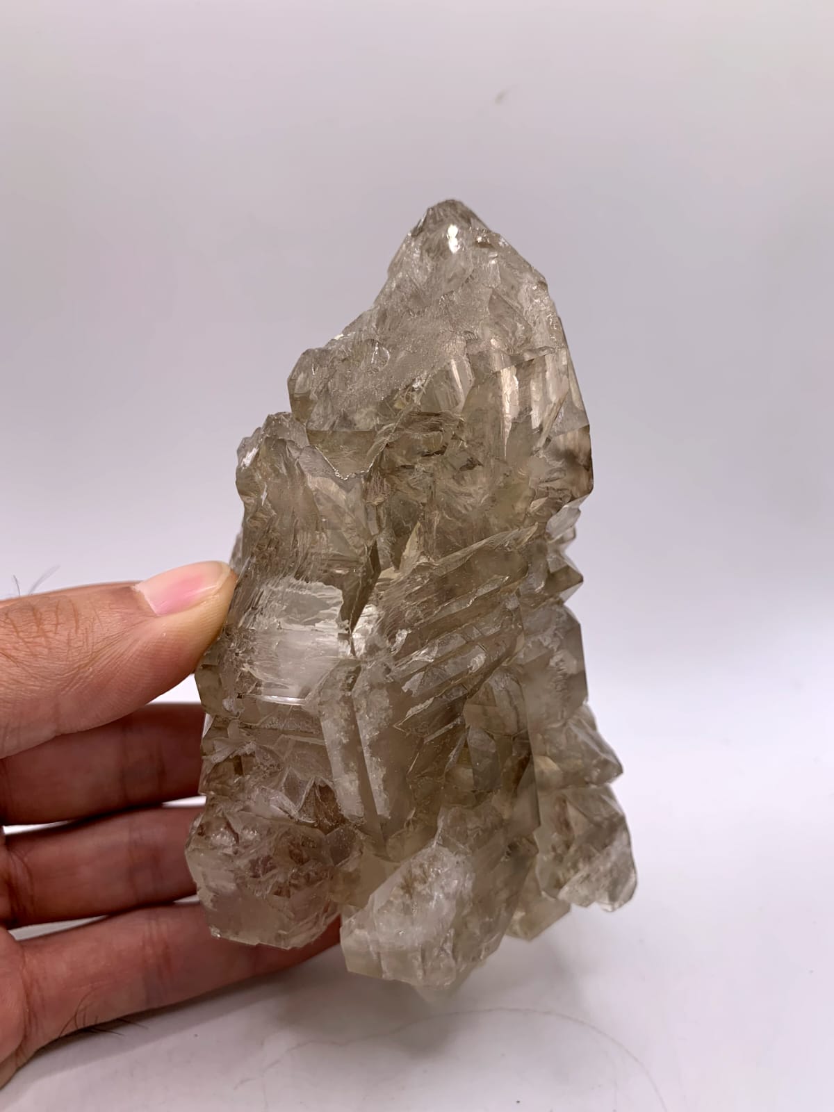 Gorgeous large Cabinet Smoky Scepter Quartz