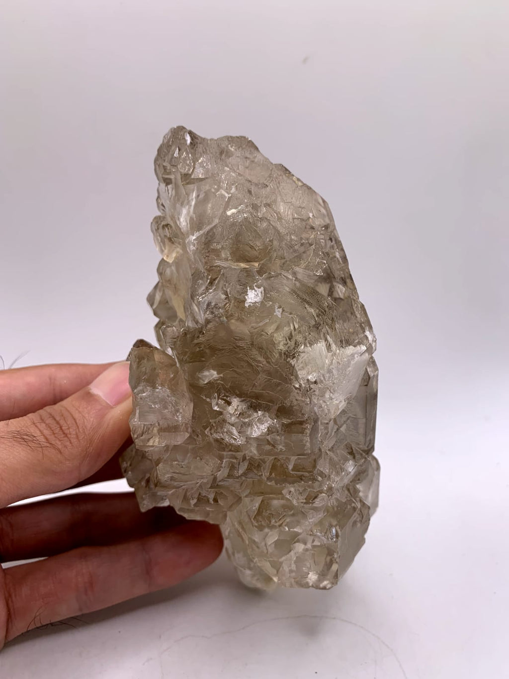 Gorgeous large Cabinet Smoky Scepter Quartz