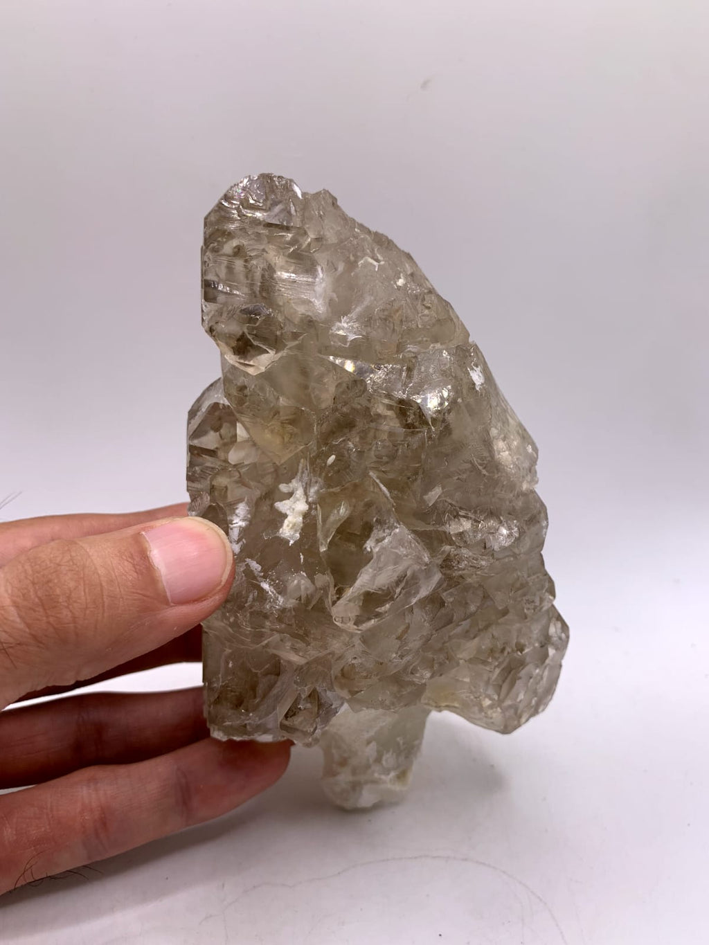 Gorgeous large Cabinet Smoky Scepter Quartz