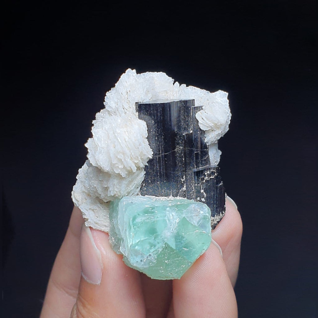 Green Fluorite with Black Tourmaline and Cleavelandite with black background