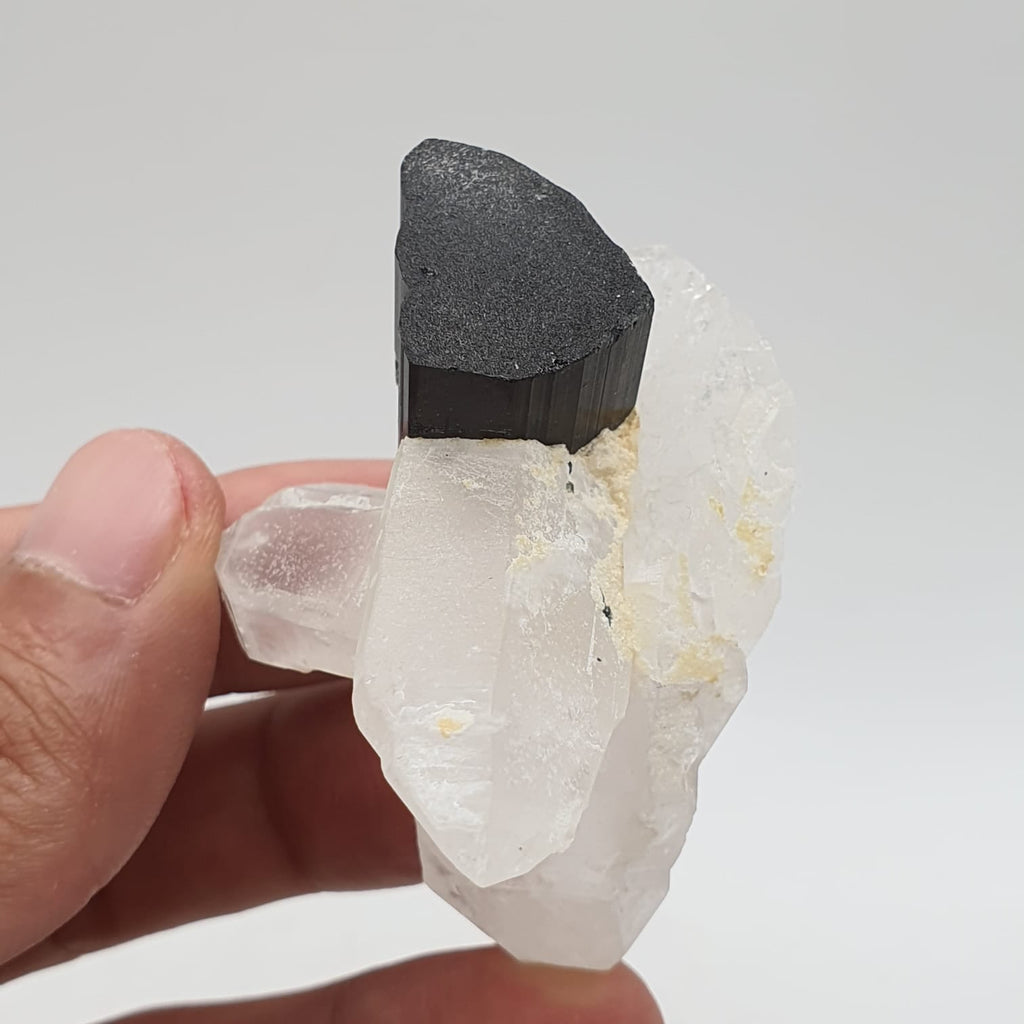 Green Cap Schorl Crystal On Double Terminated Quartz