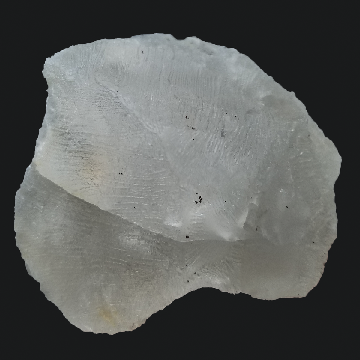 146 Grams Beautiful Hematite grow inside Calcite with amazing striations