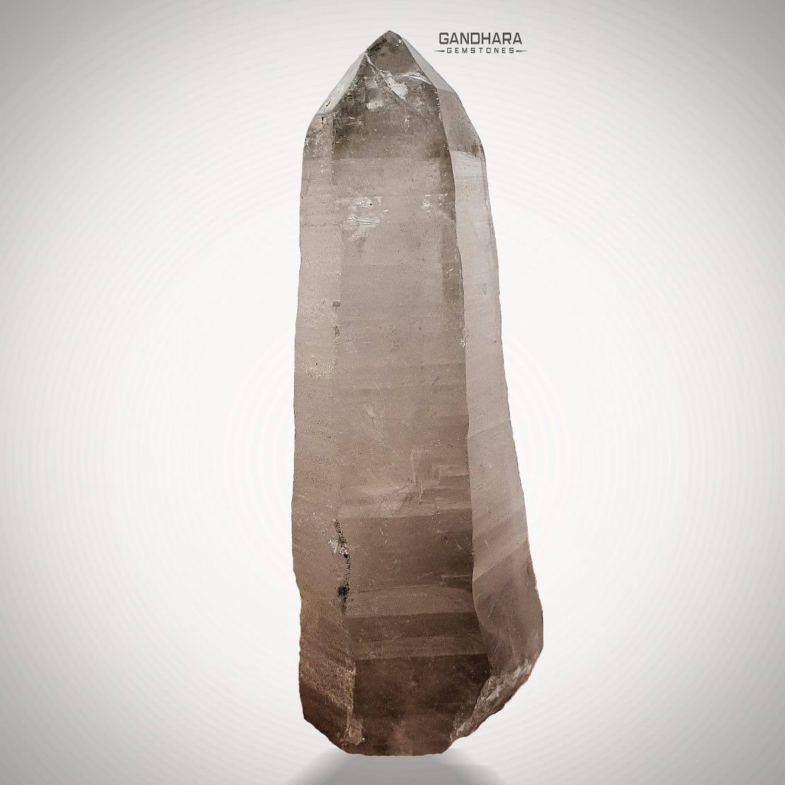 1238 Grams Huge Smoky Quartz Crystal Specimen