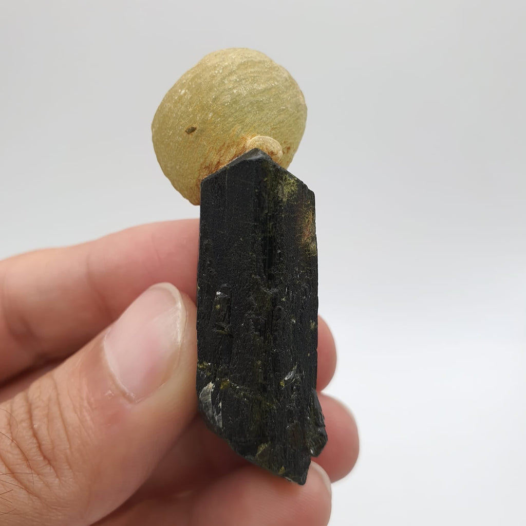 Incredible Example Of Prehnite Ball Perched On Epidote