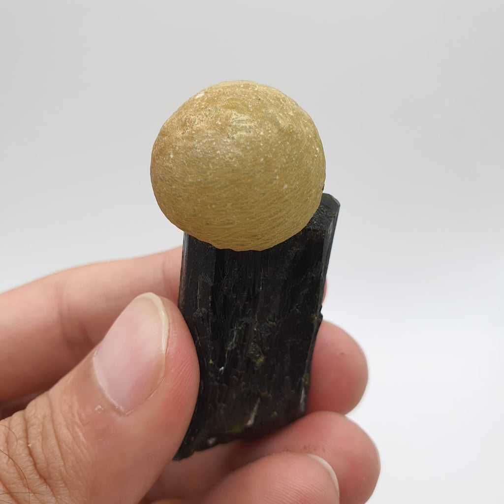 Incredible Example Of Prehnite Ball Perched On Epidote