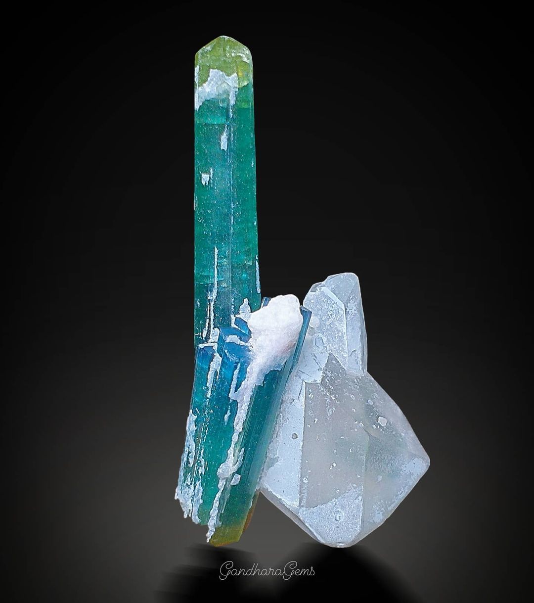 Crystal with green and white colors on a black background, Gandhara Fine Minerals