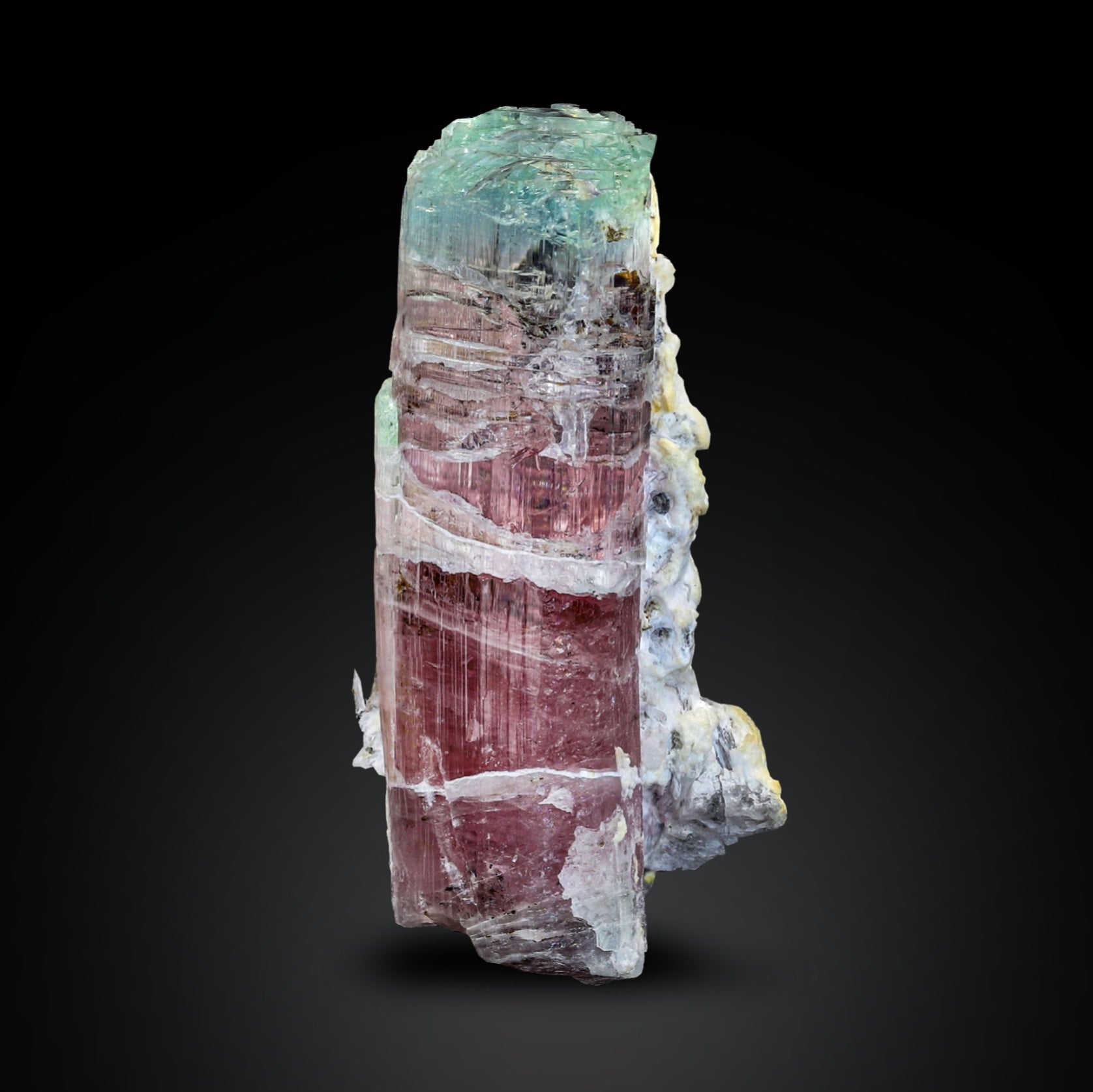Indicolite Tourmaline With Rubilite Pink Body And White Albite