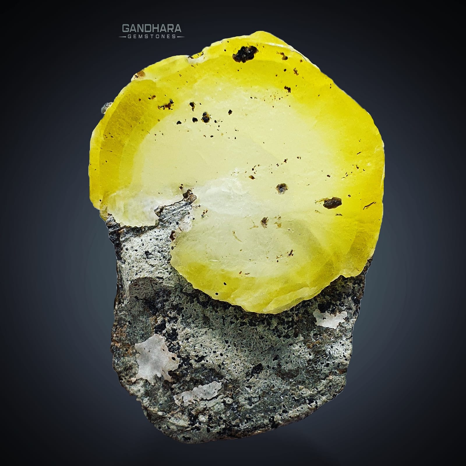 40 Grams Lemon Yellow Brucite Specimen on Chromite Matrix