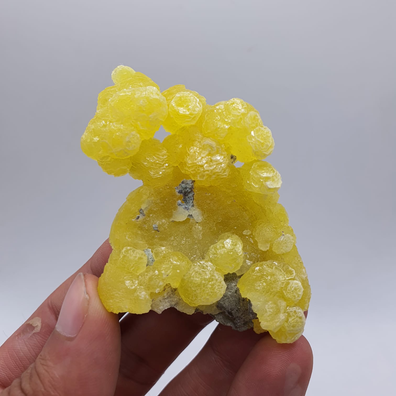 Lemon-Yellow Botryoidal Aggregate of Brucite with Detail Chromite Matrix
