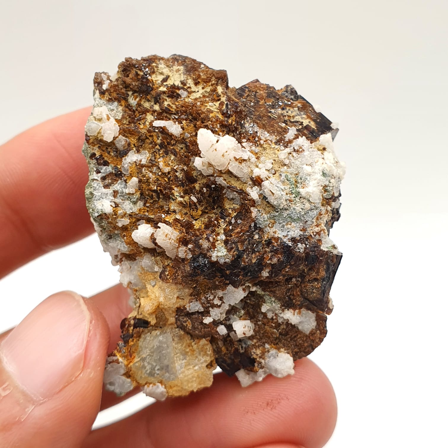 Luster Intergrown Crystals Of Vesuvianite On Contrasting White Matrix