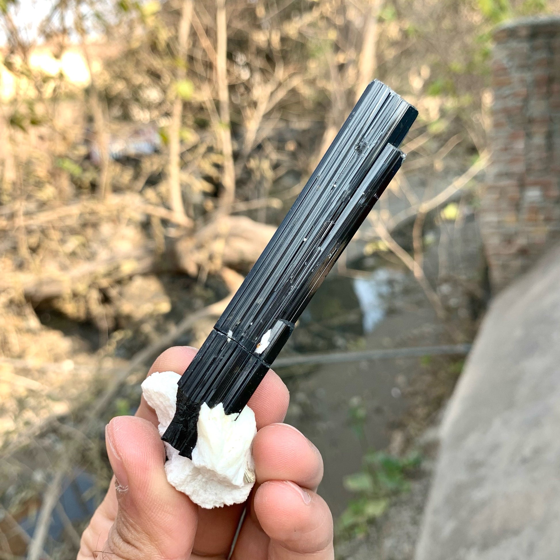 Captivating And Sculptural Black Tourmaline Crystal Nicely Positioned On Albite from Pakistan