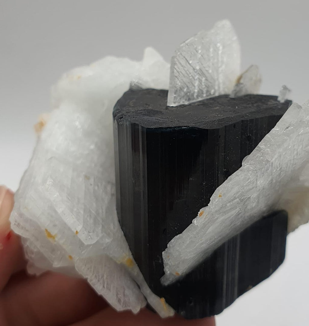 Lovely Cleavelandite Crystals Shooting Out Of Blue Cap Tourmaline