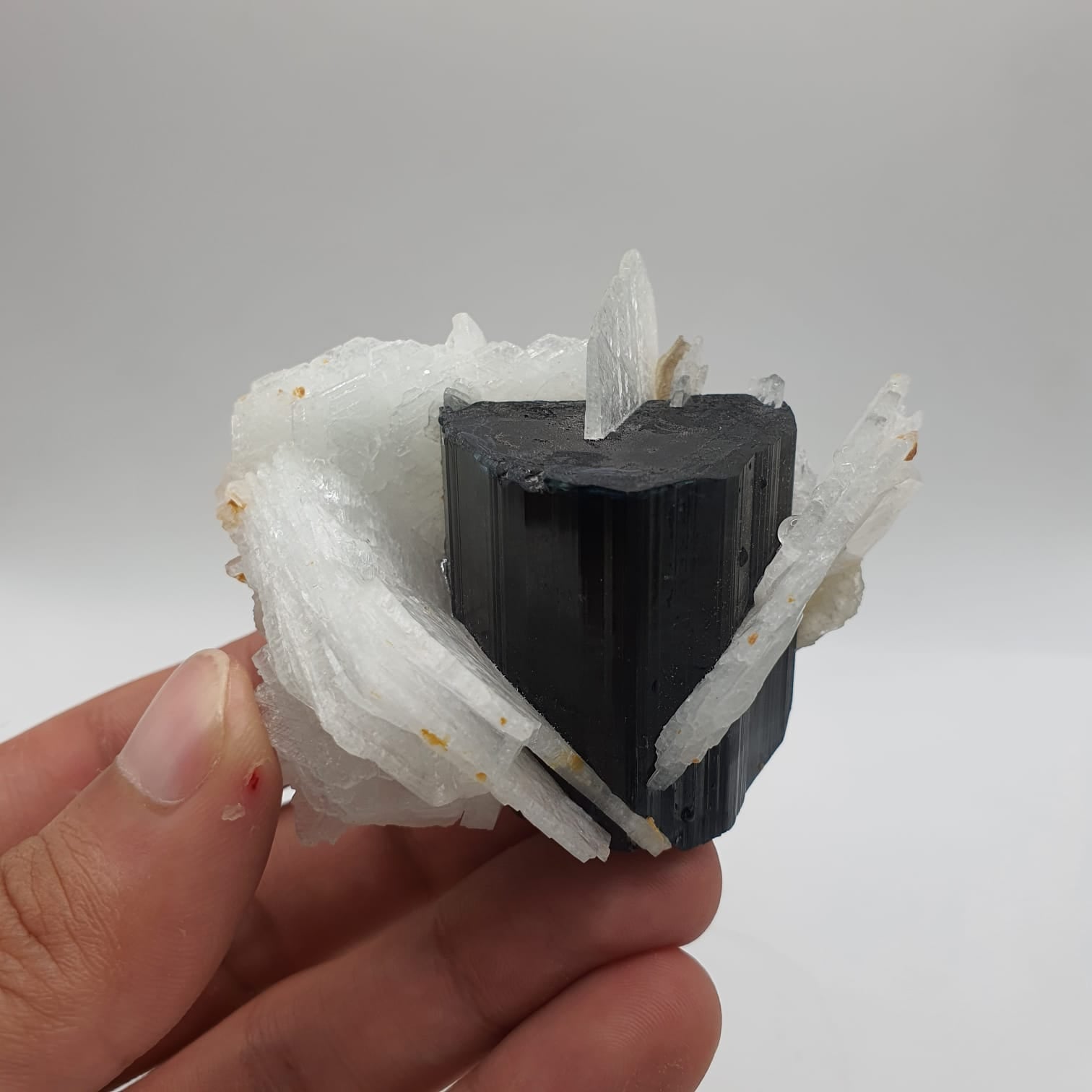 Lovely Cleavelandite Crystals Shooting Out Of Blue Cap Tourmaline