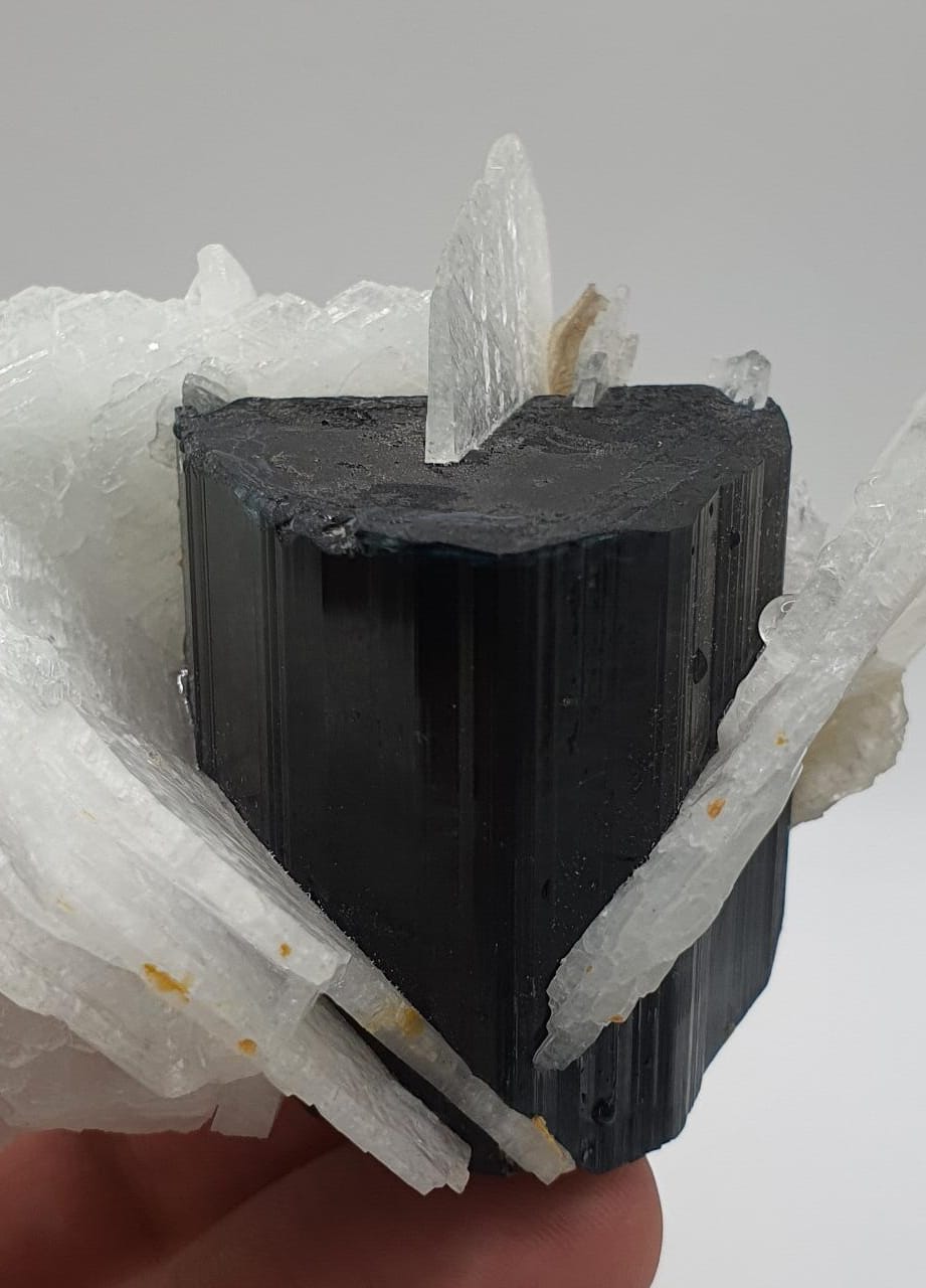 Lovely Cleavelandite Crystals Shooting Out Of Blue Cap Tourmaline