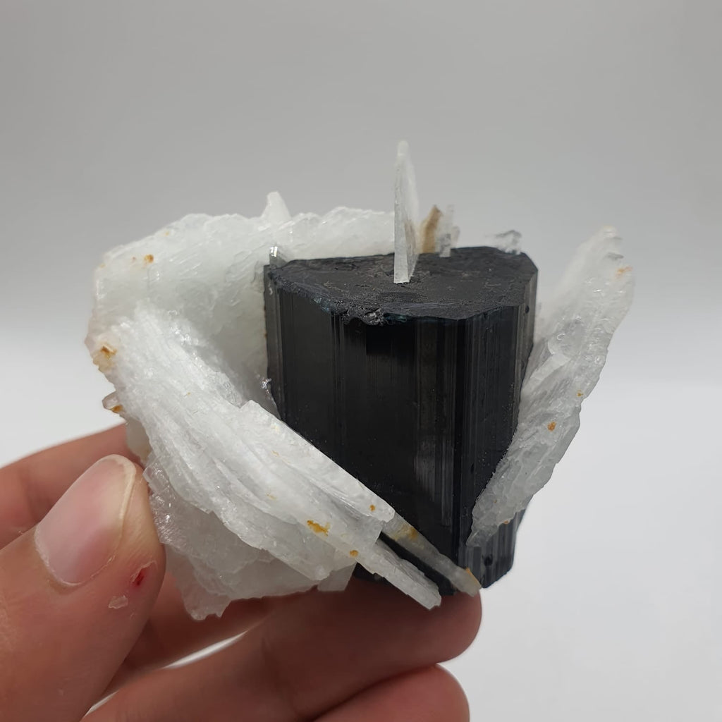 Lovely Cleavelandite Crystals Shooting Out Of Blue Cap Tourmaline