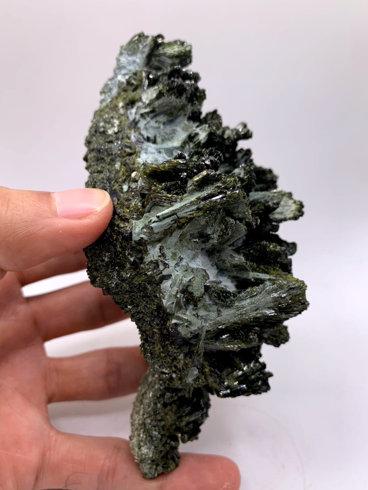 Lovely Dendritic Shape Epidote Cluster