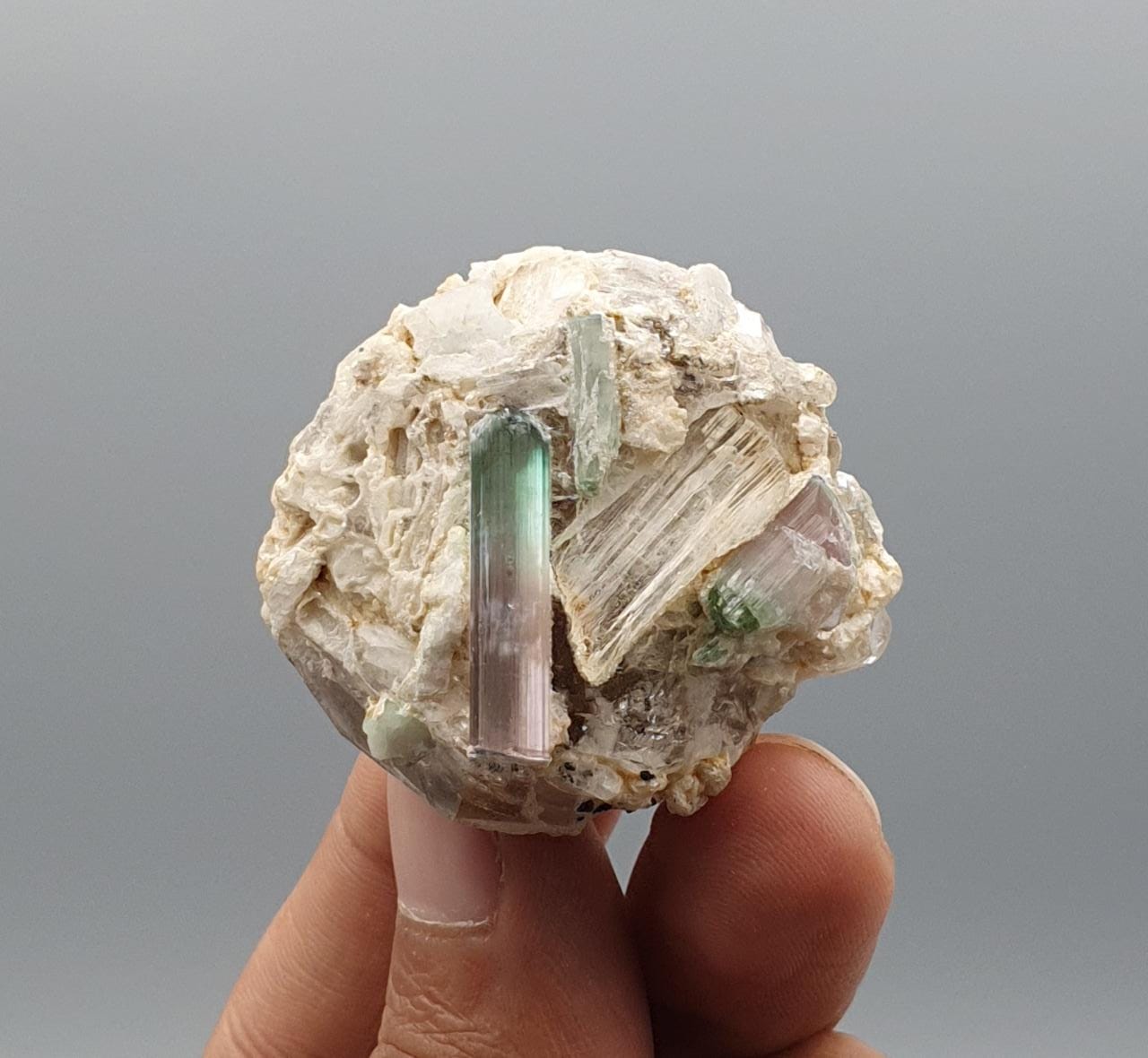 Lovely Double Terminated Bicolor Tourmaline on Smokey Quartz