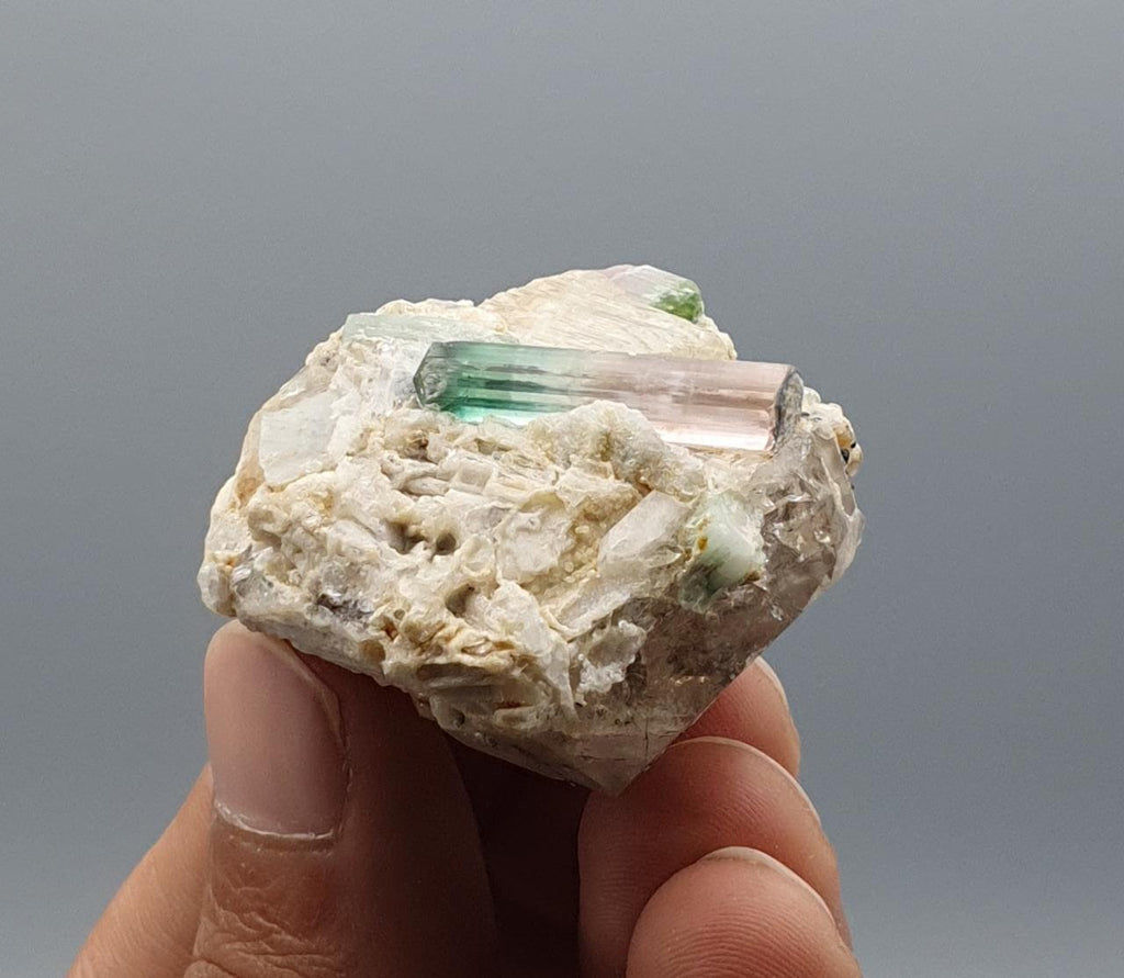 Lovely Double Terminated Bicolor Tourmaline on Smokey Quartz