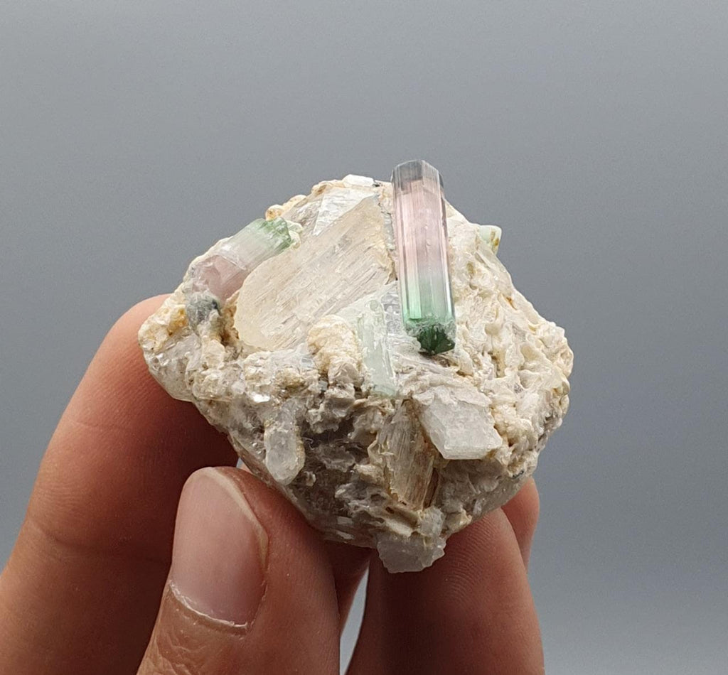 Lovely Double Terminated Bicolor Tourmaline on Smokey Quartz