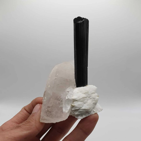 Lovely Elongated Schorl Standing tall on Smokey Quartz with Cleavelandite