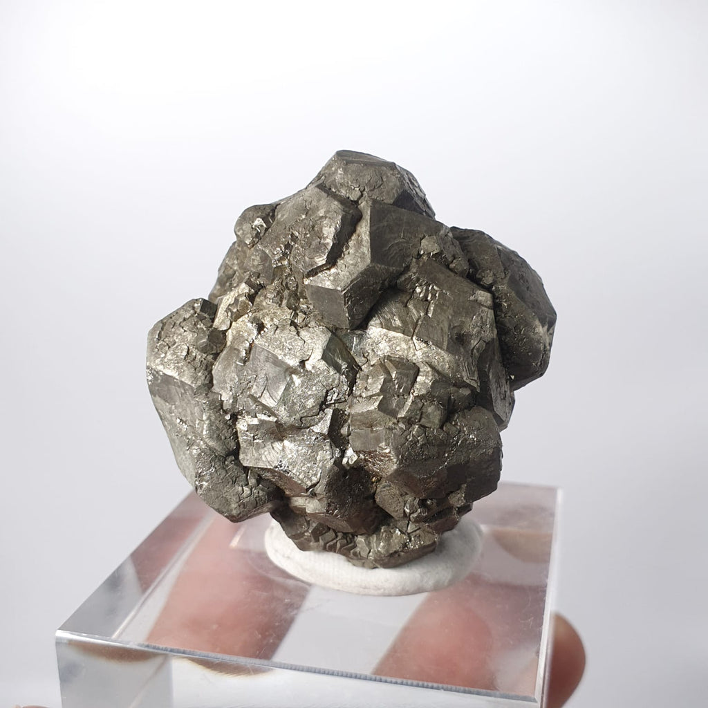 Lovely Metallic Aggregate of Pyrite Intergrown Crystals