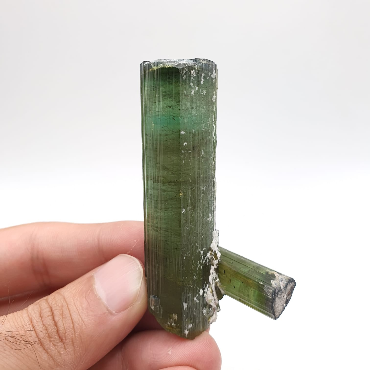 Lovely Mint-Green Color Tourmaline With Perfect Side Xl