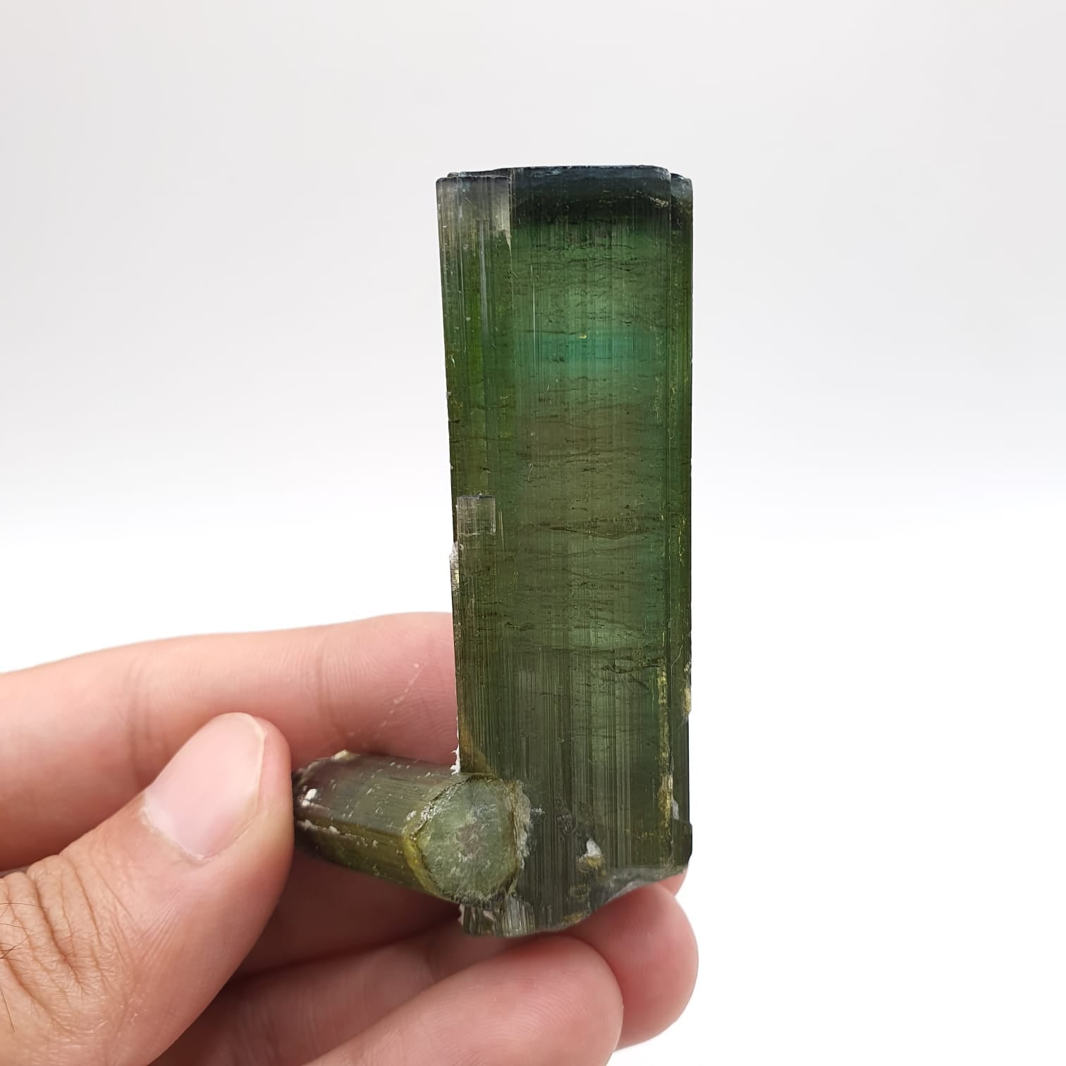 Lovely Mint-Green Color Tourmaline With Perfect Side Xl