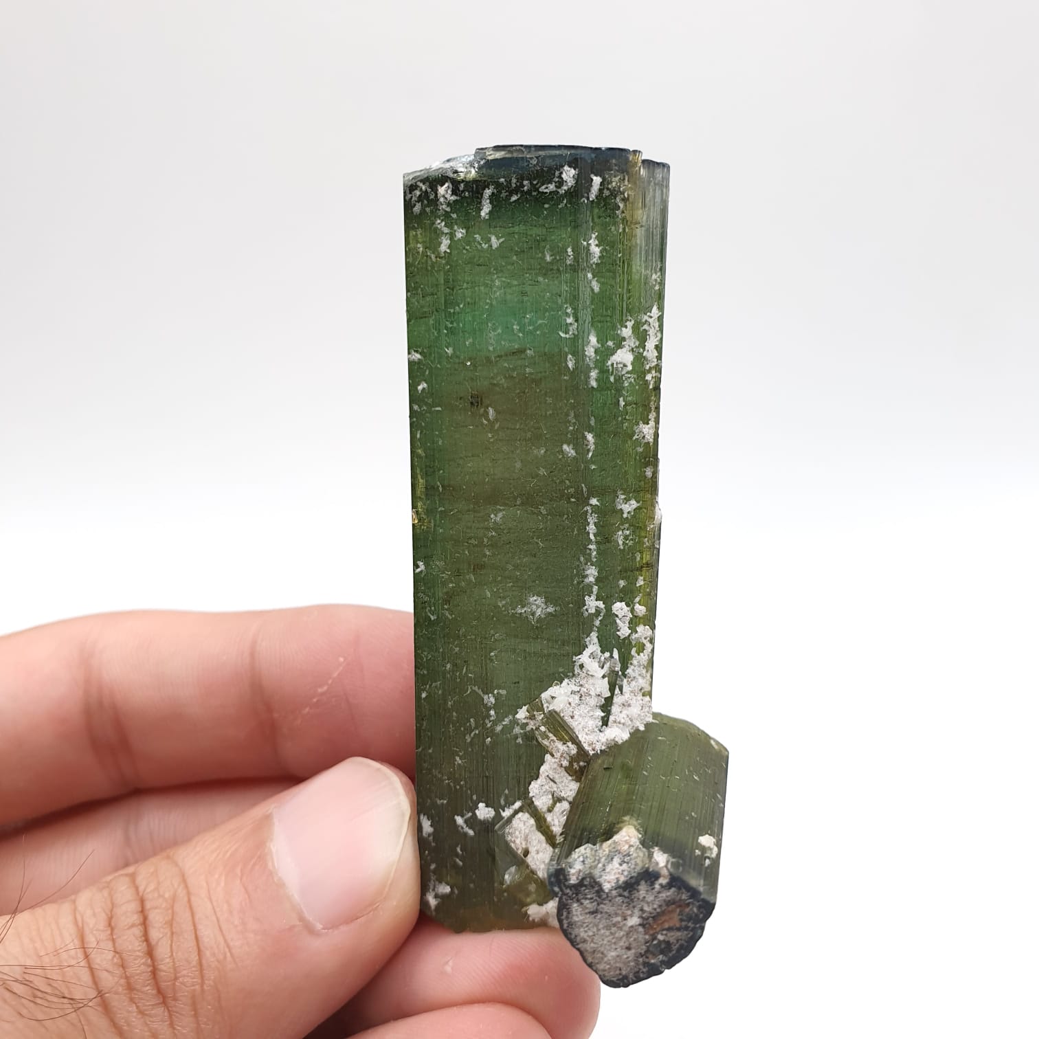 Lovely Mint-Green Color Tourmaline With Perfect Side Xl