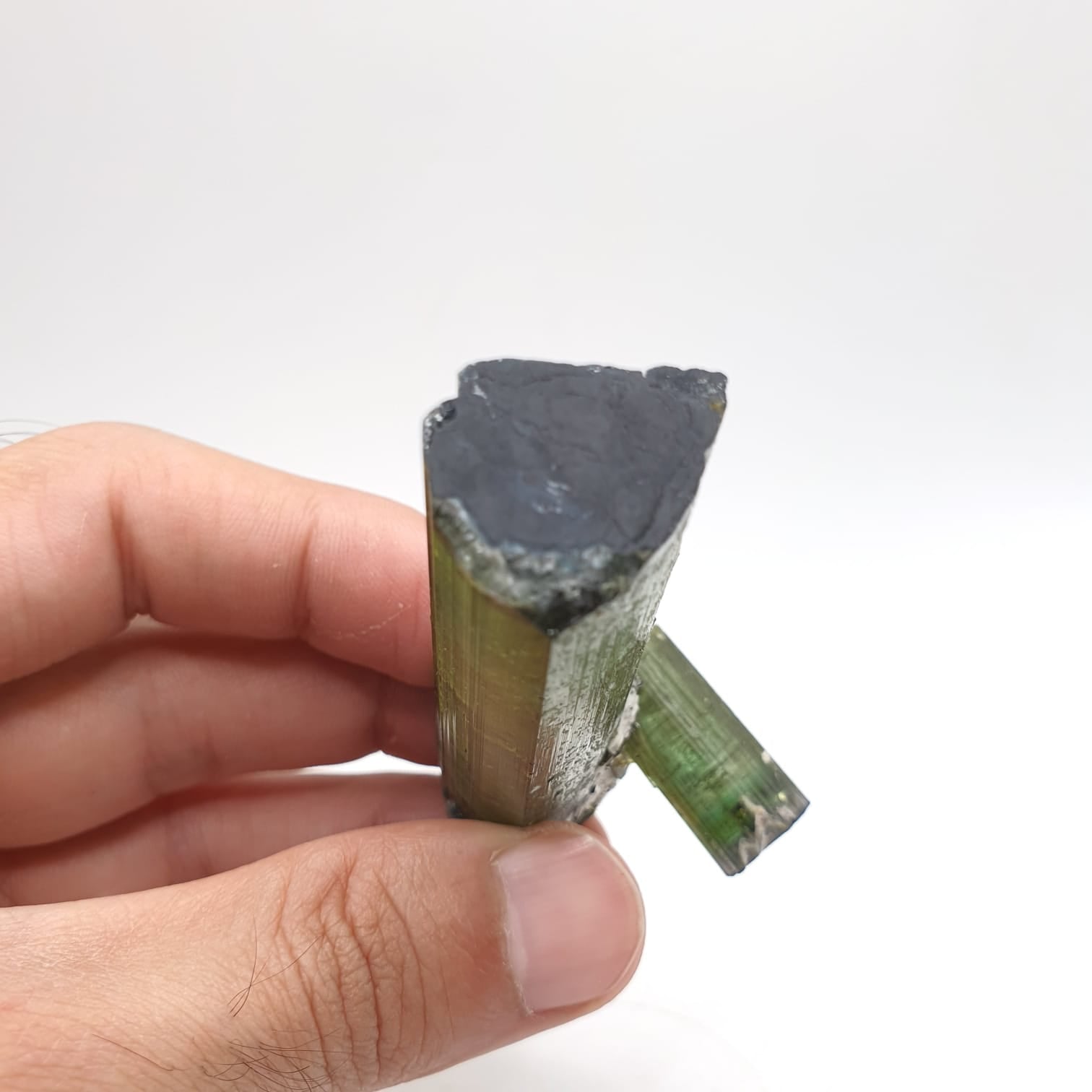 Lovely Mint-Green Color Tourmaline With Perfect Side Xl