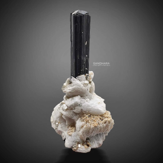 Lovely Schorl Aka Black Tourmaline on Cleavelandite