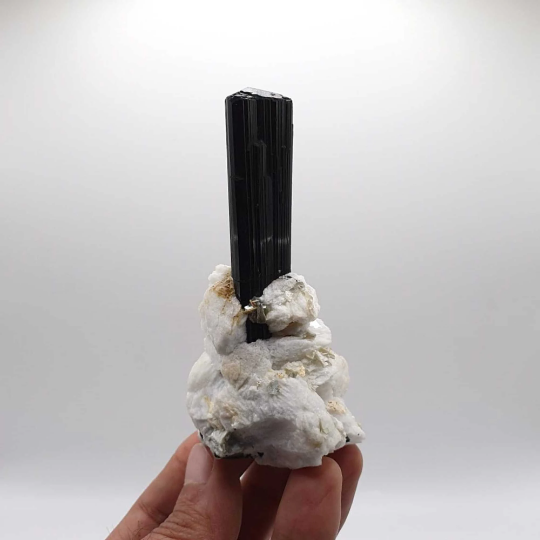 Lovely Schorl Aka Black Tourmaline on Cleavelandite
