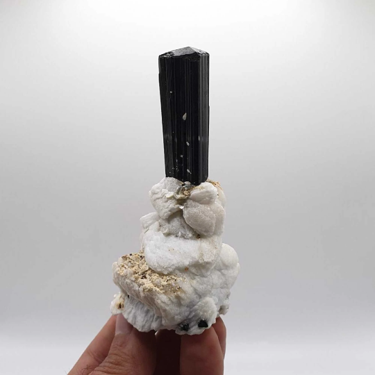 Lovely Schorl Aka Black Tourmaline on Cleavelandite