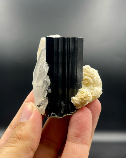 Lovely Schorl Highly Striated with Quartz and Cleavelandite