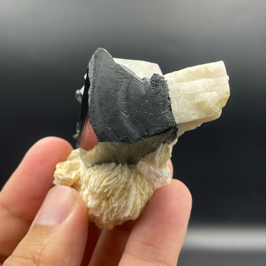 Lovely Schorl Highly Striated with Quartz and Cleavelandite