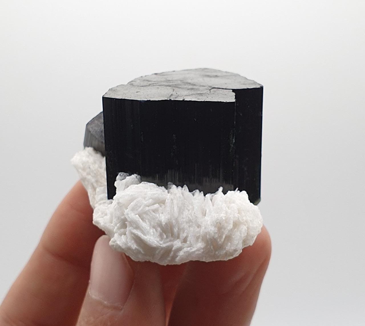 Lusterious And Artistic Schorl Aka Black Tourmaline On White Cleavelandite