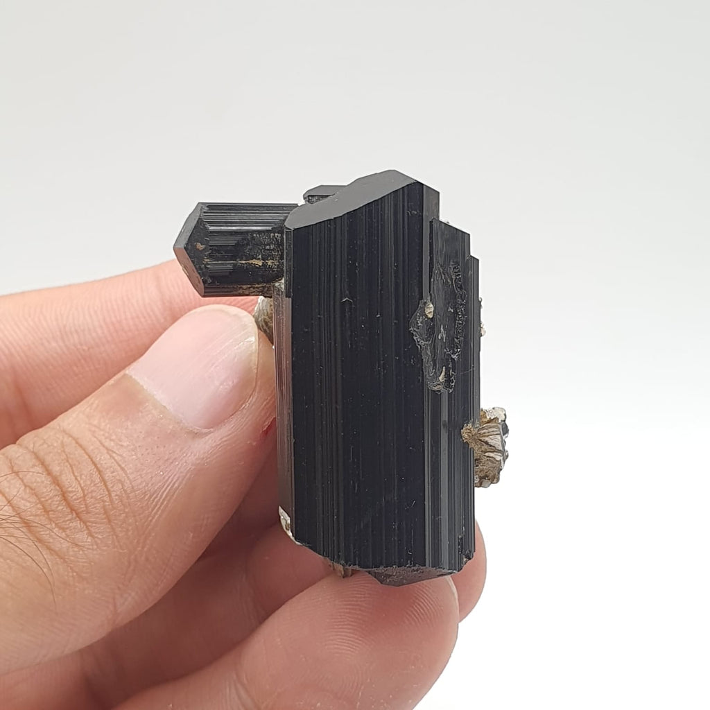 Lusterious And Glassy Faced Schorl Aka Black Tourmaline With White Albite
