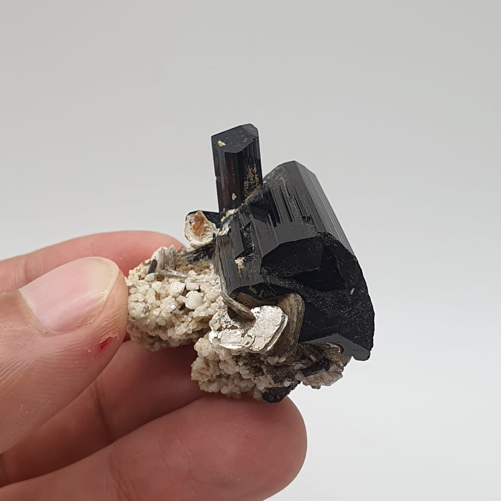 Lusterious And Glassy Faced Schorl Aka Black Tourmaline With White Albite