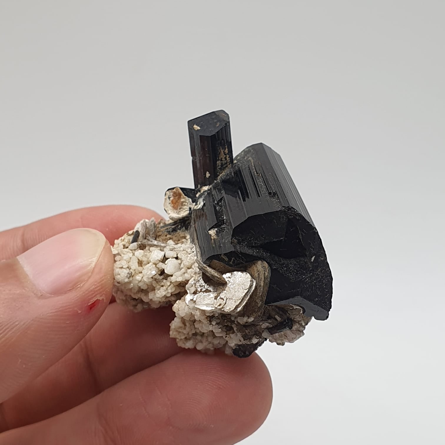 Lusterious And Glassy Faced Schorl Aka Black Tourmaline With White Albite