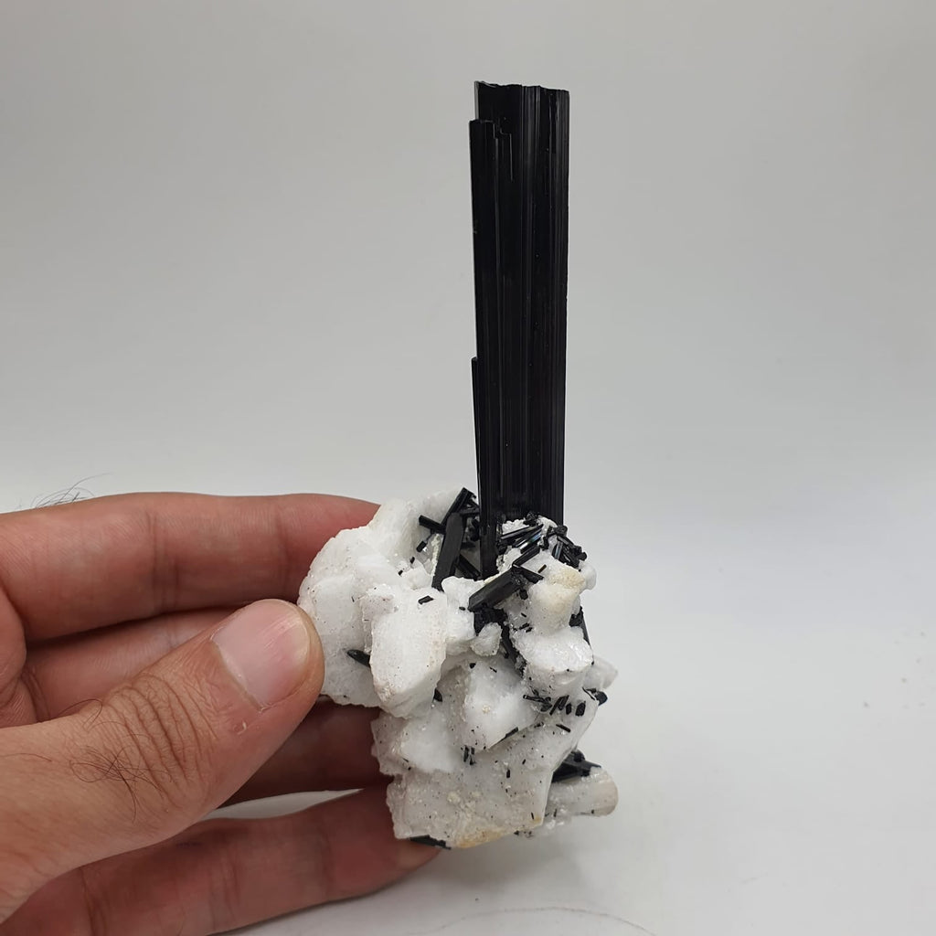 Lusterious And Highly Striated Schorl Crystal On White Albite