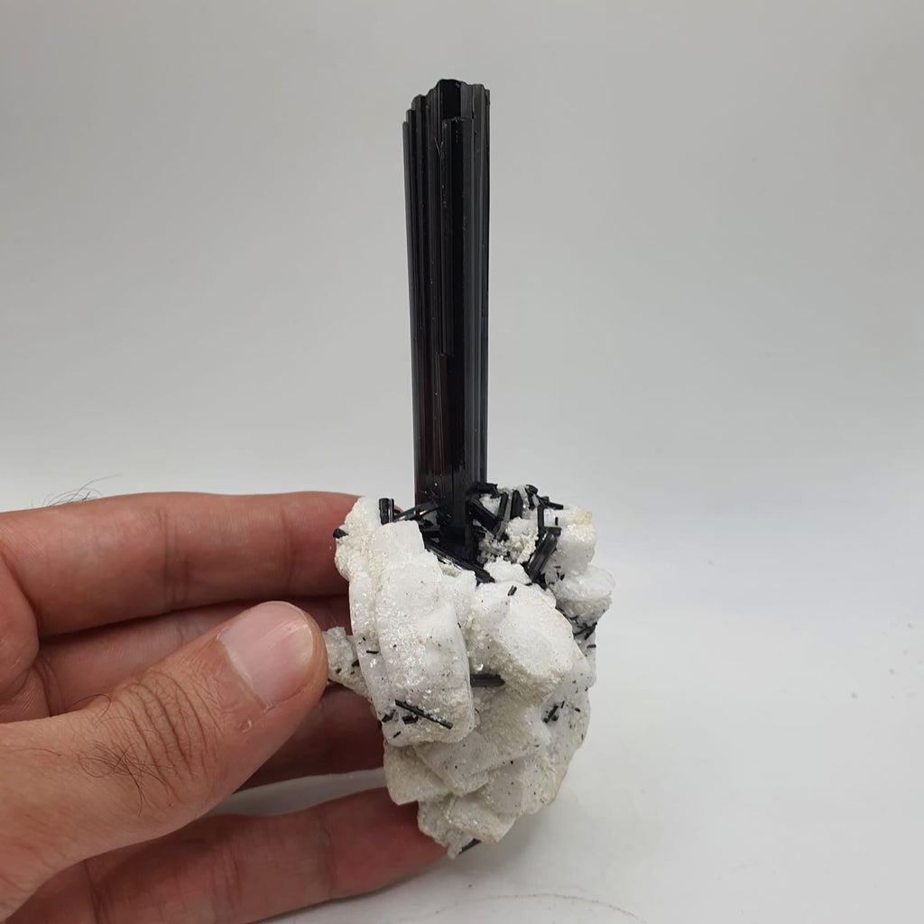 Lusterious And Highly Striated Schorl Crystal On White Albite