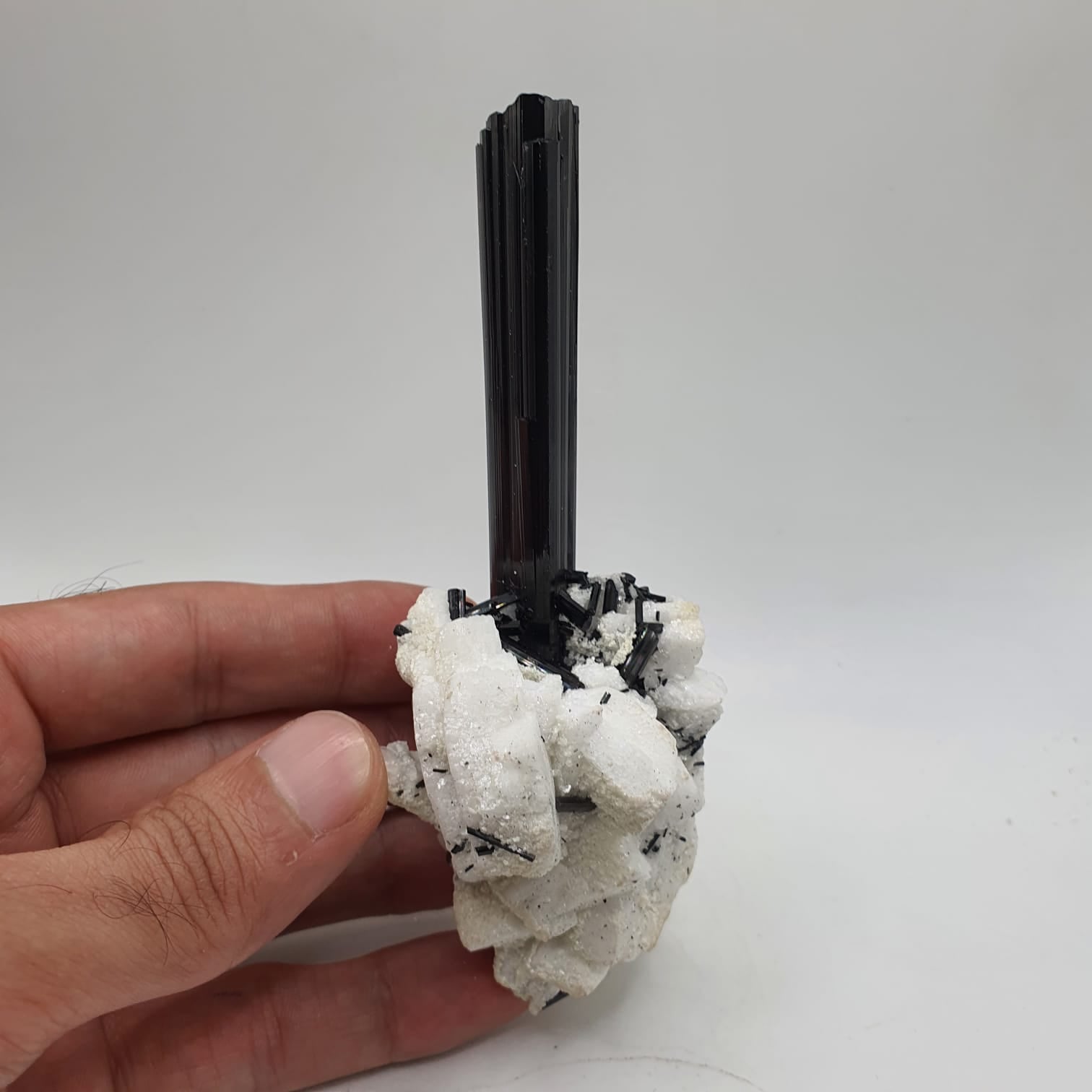 Lusterious And Highly Striated Schorl Crystal On White Albite